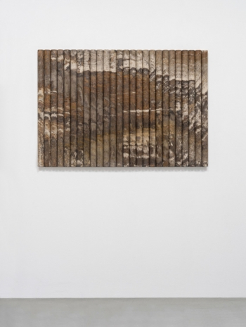 Elena Damiani, Testigos IV, 2022 , Galerie Nordenhake