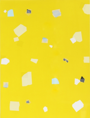 Kees Goudzwaard, Notes on Yellow, 2023 , Zeno X Gallery