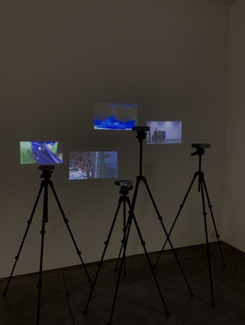 Roman Signer , Four videos, 2002-2014, Art : Concept