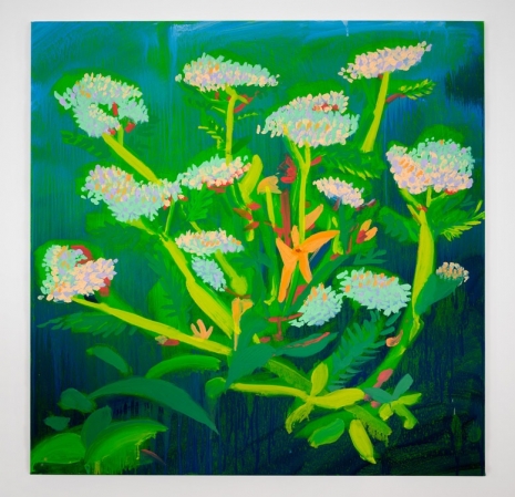 Nicole Wittenberg , Queen Anne's Lace and Gloriosa Daisy 3, 2023 , NO NAME