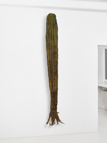 Julius von Bismarck, I like the flowers (Pachycereuis pringlii), 2023 , Sies + Höke Galerie