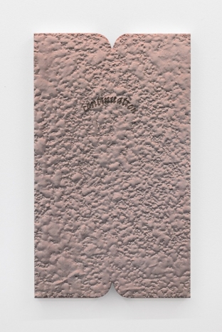 Lukas Thaler, Soluble subjects (continuation), 2023, Galerie Elisabeth & Klaus Thoman