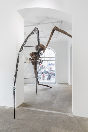 Thomas Feuerstein, CRAWLER, 2023 , Galerie Elisabeth & Klaus Thoman
