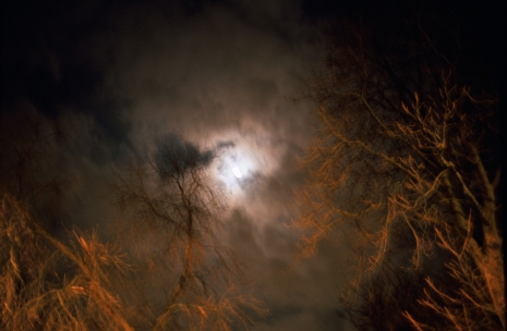 Nan Goldin, Full moon over Bois de Vincennes, Paris, 2004 , Gagosian