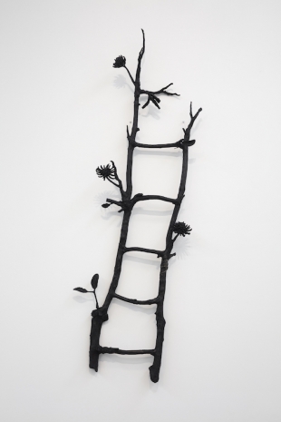 Naufus Ramírez-Figueroa, Erythrina Guatemalensis Ladder, 2024 , Galerie Nordenhake