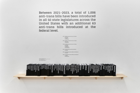 Andrea Bowers, Trans Bills, 2023 , Andrew Kreps Gallery