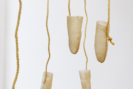 Sonya Kelliher-Combs, Natural Idiot Strings, 2023 , Andrew Kreps Gallery