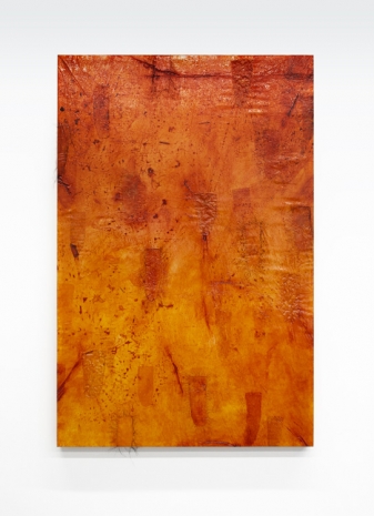 Sonya Kelliher-Combs, Large Chinook Secret, 2023 , Andrew Kreps Gallery