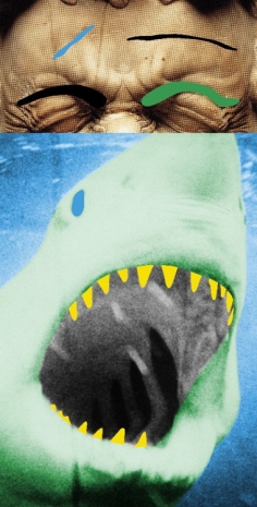 John Baldessari , Raised Eyebrows / Furrowed Foreheads: Shark (with Teeth Bared), 2009 , Mai 36 Galerie