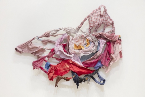 Kaarina Kaikkonen, The Longing of a Wild Rose, 2024 , Galerie Forsblom