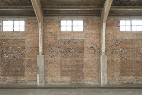 Loris Cecchini, Aerial roots on improvised display, 2013, Galleria Continua