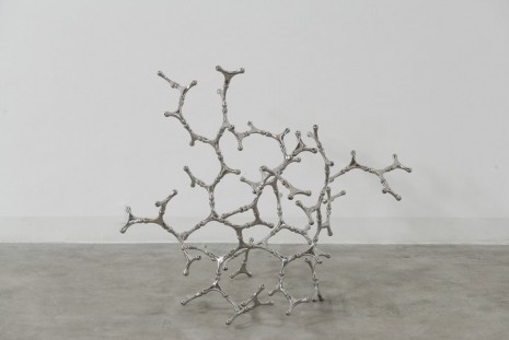 Loris Cecchini, Waterbones, 2012, Galleria Continua