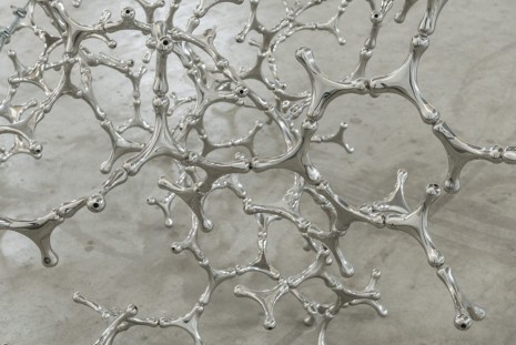 Loris Cecchini, Waterbones (detail), 2012, Galleria Continua