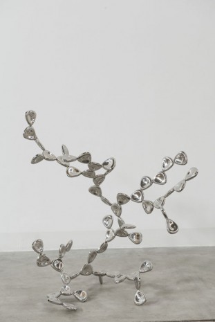Loris Cecchini, Sequential interactions in alfalfa chorus, 2013, Galleria Continua