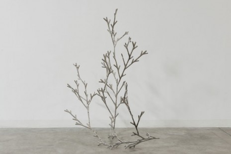 Loris Cecchini, Diagram bushes Here and There and Everywhere, 2013, Galleria Continua