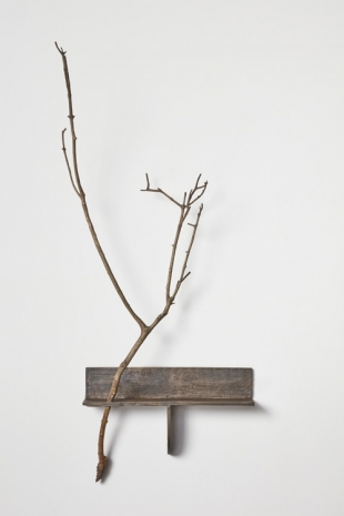 Ishmael Randall-Weeks, Shelf with olive branch, 2023, Lawrie Shabibi