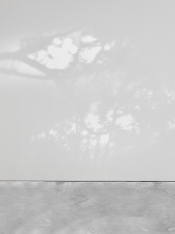 Allora & Calzadilla, Penumbra 半影, 2020 , Lisson Gallery