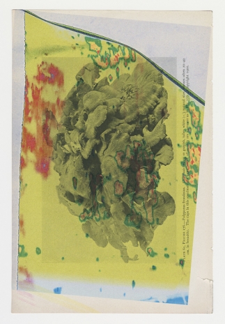 Wade Guyton , Untitled (Plate 61, Figure 176), 2022 , Galerie Gisela Capitain