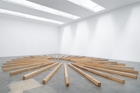 Susumu Koshimizu , From Surface to Surface (Wooden Logs Placed in a Radial Pattern on the Ground), 1972/2004 , BLUM