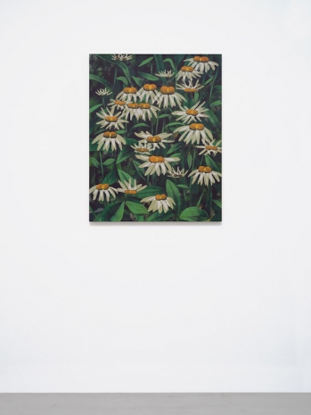 Ryan Mrozowski, Untitled (Shifted Flowers), 2024 , Galerie Nordenhake