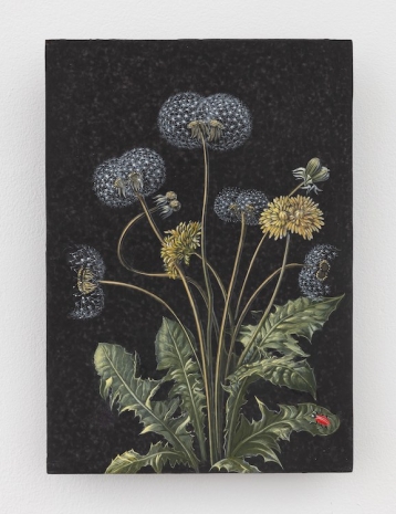 Laurent Grasso , Future Herbarium, 2023 , Sean Kelly