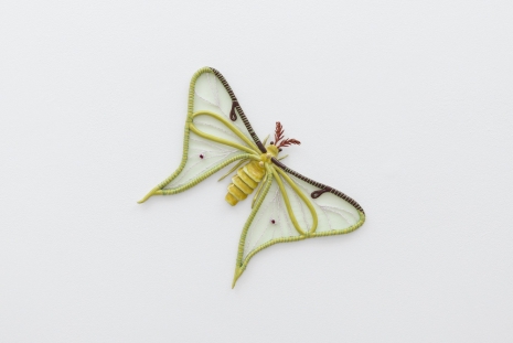 Paloma Proudfoot, Green moth, 2024 , The Approach