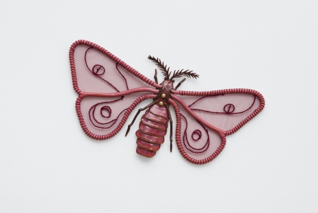 Paloma Proudfoot, Pink moth, 2024 , The Approach