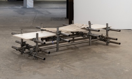 Luciana Lamothe, Untitled, 2014 , Galerie Alberta Pane