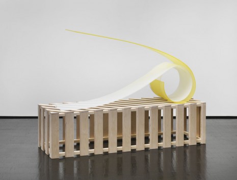 Ayse Erkmen, Wesenszug, 1969 - 2013, Galerie Barbara Weiss