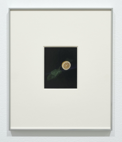 Alina Chaiderov, Still Life with Lemon, 2024 , Galerie Nordenhake