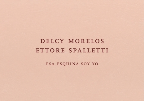 Delcy Morelos and Ettore Spalletti, , , Marian Goodman Gallery