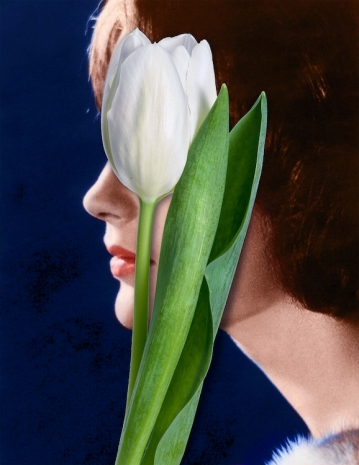 Urs Fischer, White Tulip, 2024 , Gagosian