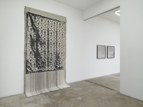Lisa Oppemheim, , , Tanya Bonakdar Gallery