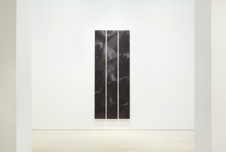 Jason Martin, Tramontano, 2004 , Galerie Forsblom