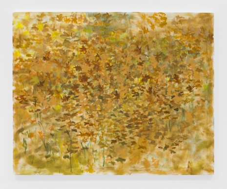 Trevor Shimizu, Leaf Mulch (1), 2023 , Modern Art