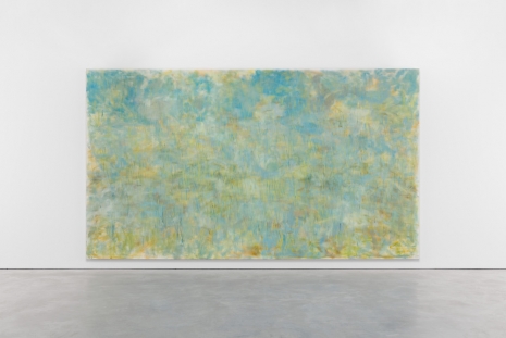 Trevor Shimizu, Grass, 2011 , Modern Art