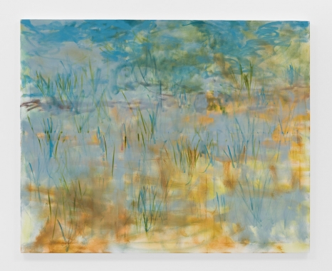 Trevor Shimizu, Blue Prairie Grass, 2023 , Modern Art