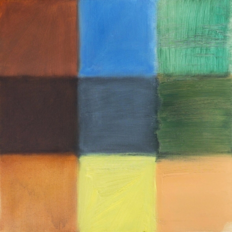 Roger Toledo, Color Test 1 | 15 Repeticiones de Marti (Ocre), 2022 , Pan American Art Projects