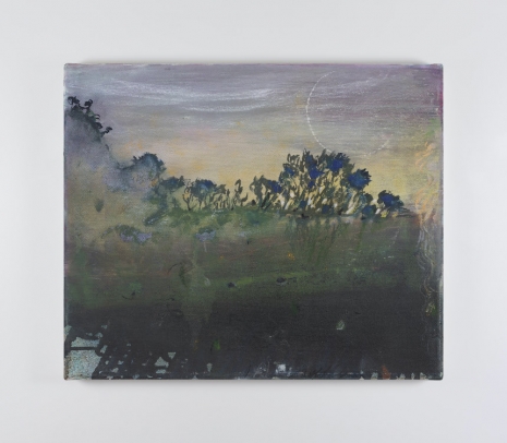 Elizabeth Magill , Although, I was not there, 2024 , Kerlin Gallery