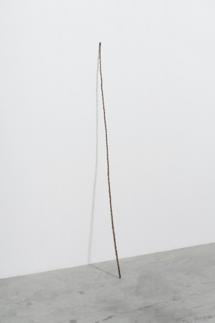 Vija Celmins, Cane, 2023 , Matthew Marks Gallery