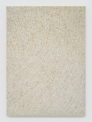 Vija Celmins, Plate, 2013–23 , Matthew Marks Gallery
