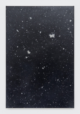 Vija Celmins, Snowfall (coat), 2021–23, Matthew Marks Gallery