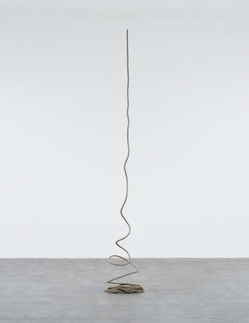 Vija Celmins, Ladder, 2021–22 , Matthew Marks Gallery