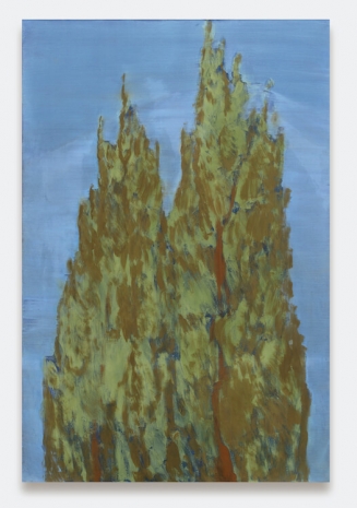 Christine Safa, Longtemps, j’ai eu l’envie de peindre les cyprès de Mar Mitr, 2021-2024 , Bortolami Gallery