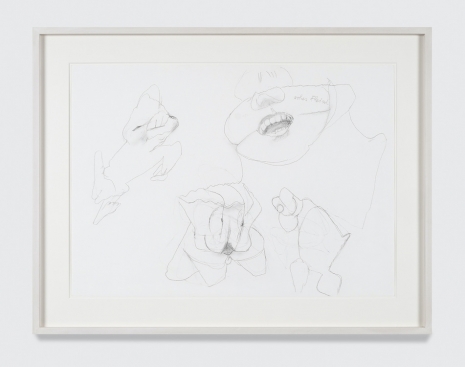 Maria Lassnig, Untitled, ca. 2000 - 2009 , Petzel Gallery