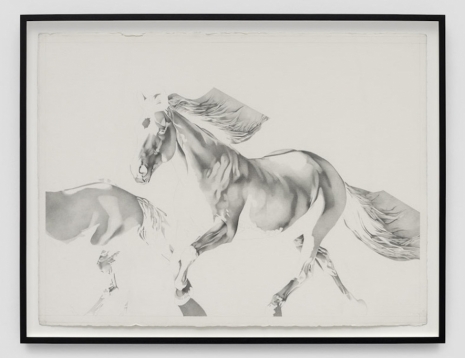 Banks Violette, untitled (two horses/inverted), 2023 , Gladstone Gallery