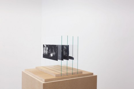 Johan Thurfjell, Diorama (out of the forrest), 2013, Galerie Nordenhake