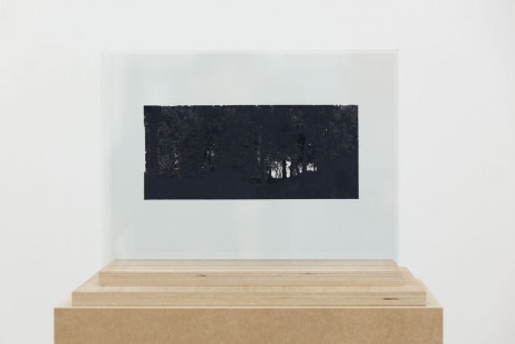 Johan Thurfjell, Diorama (out of the forrest), 2013, Galerie Nordenhake