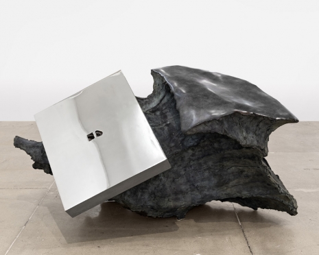 Giuseppe Penone, Geometria nelle mani - rettangolo, 2005 , Marian Goodman Gallery