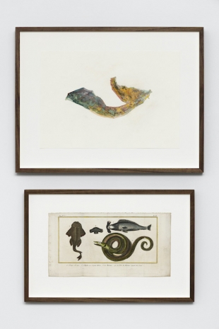 Anri Sala , Untitled (Somalia/L'Ange de mer, L'Hydre ou Serpent Marin, Le Marteau, La Tête du Marteau séparée du Corps), 2022 , Marian Goodman Gallery